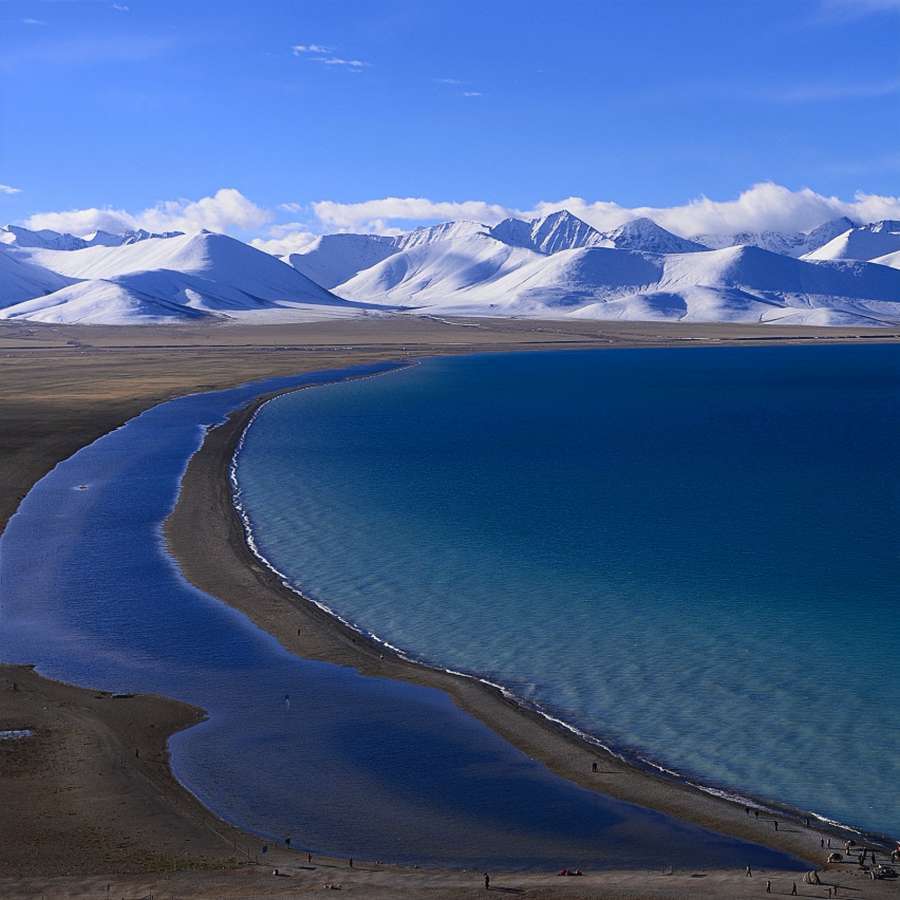 Namtso Grassland