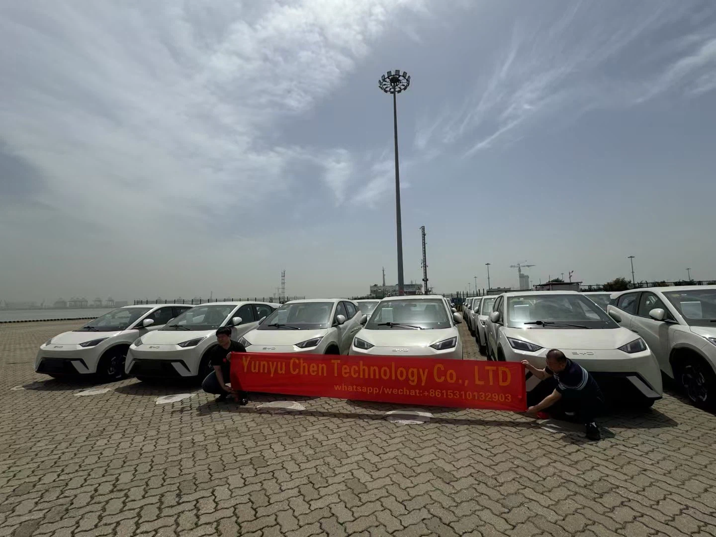 BYD fleet at port