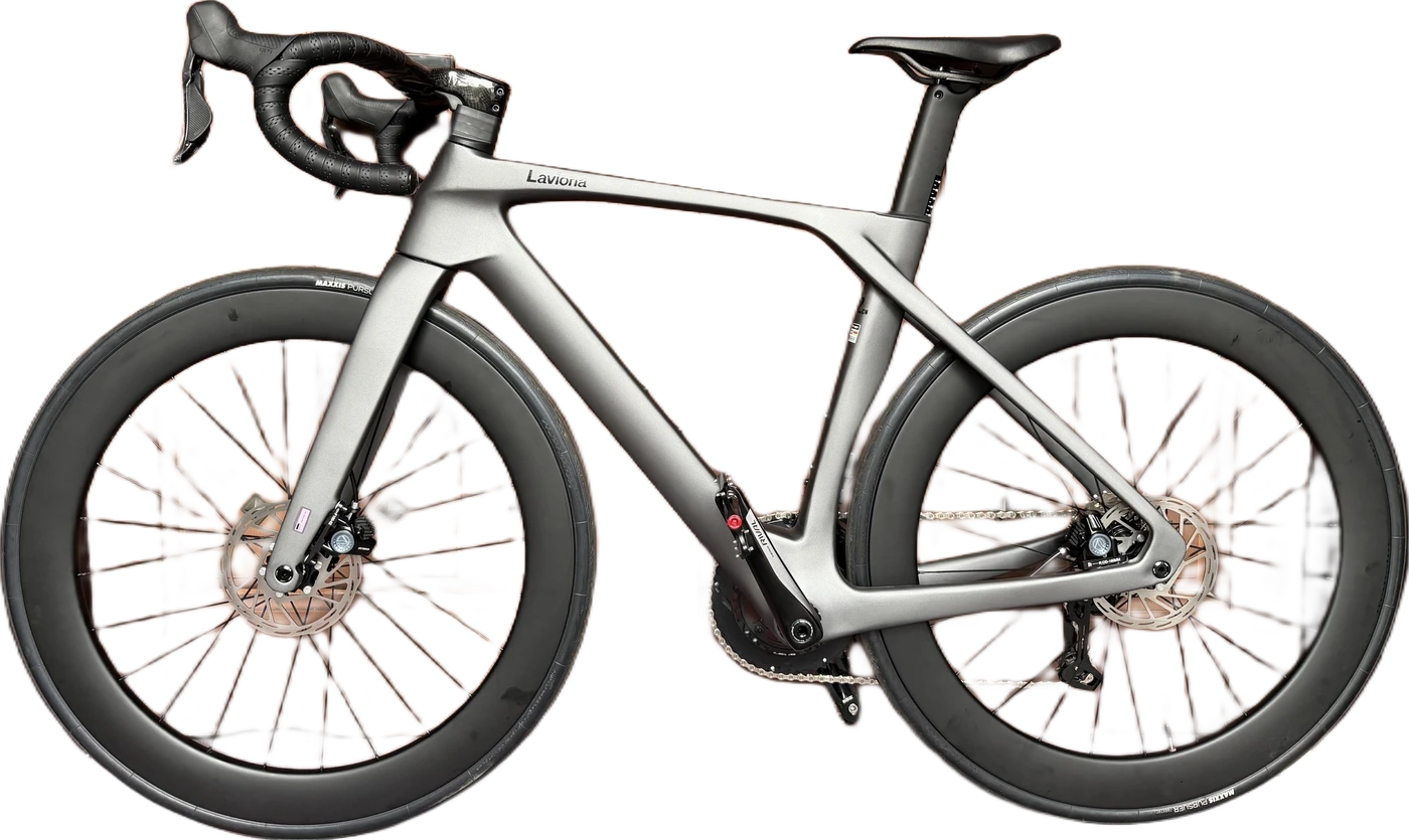 Laviona matte grey road bike