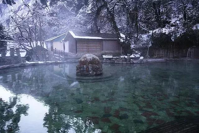 The primeval forest boardwalks