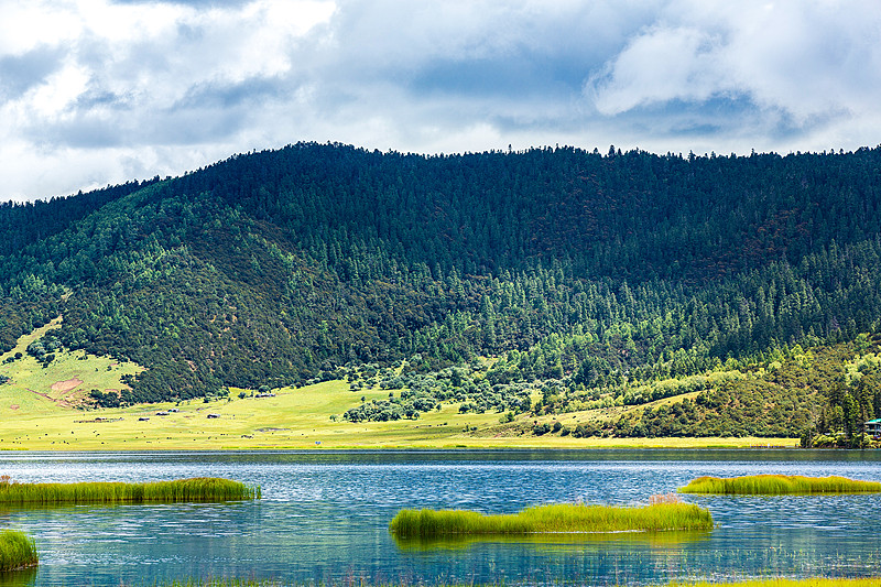 The plateau pastures