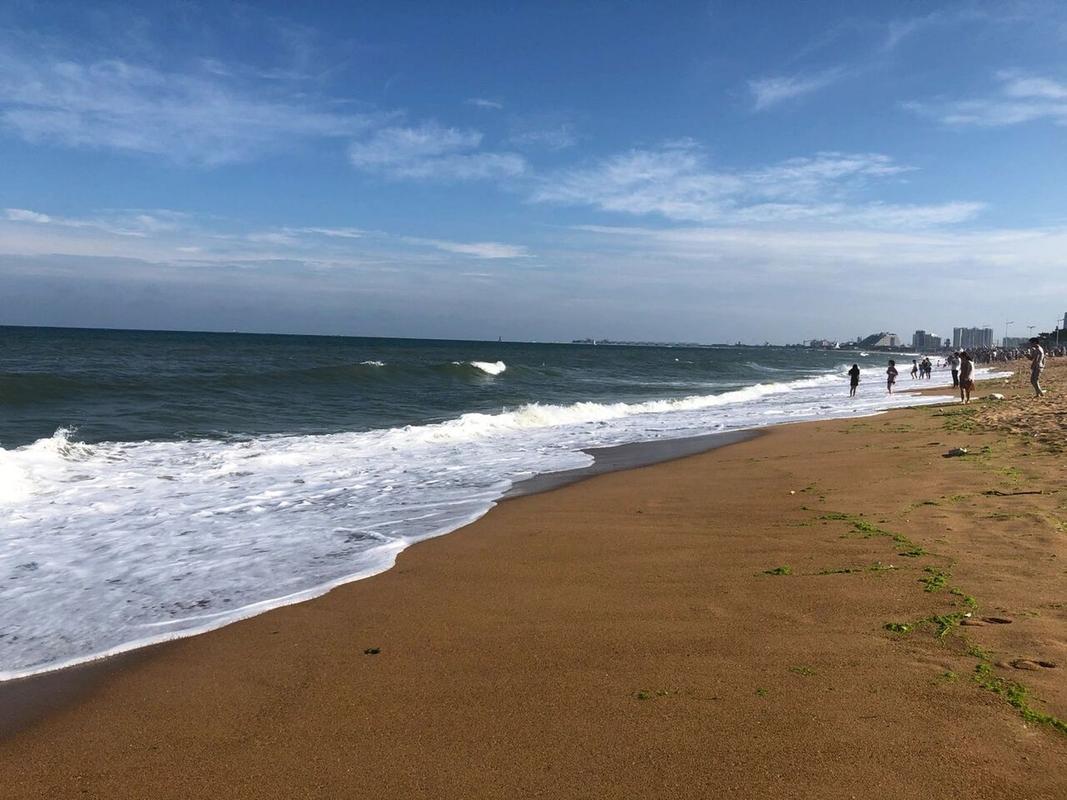 two day Rizhao tidal foraging itinerary