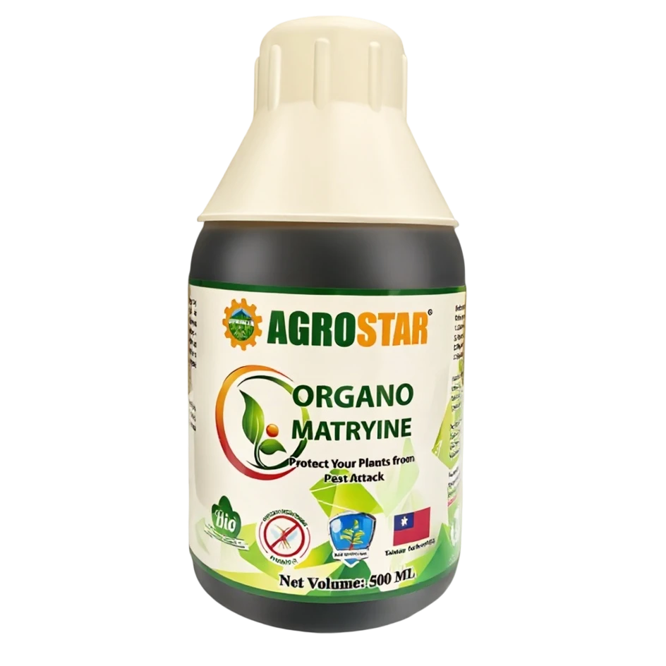 Organo Matryine 500ml