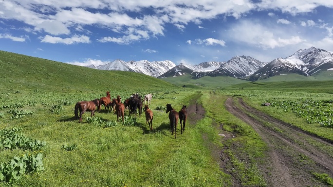 Nalati Grassland