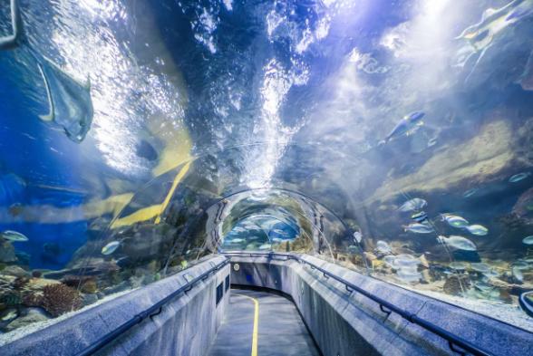Underwater tunnel at Sun Asia Ocean World, Dalian