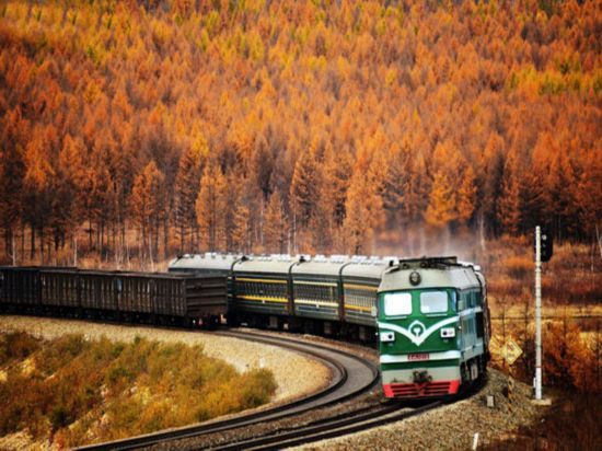 The green train through birch forest in the Greater Khingan