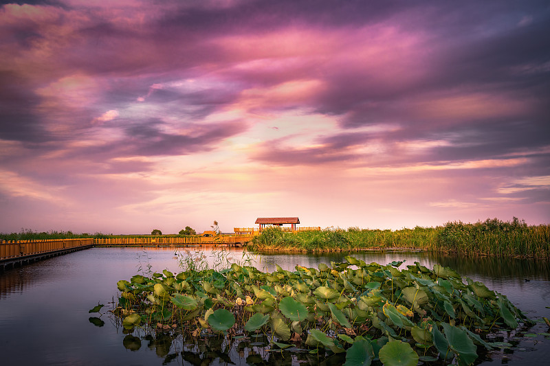Sunset over the boardwalk and reeds of Baiyangdian