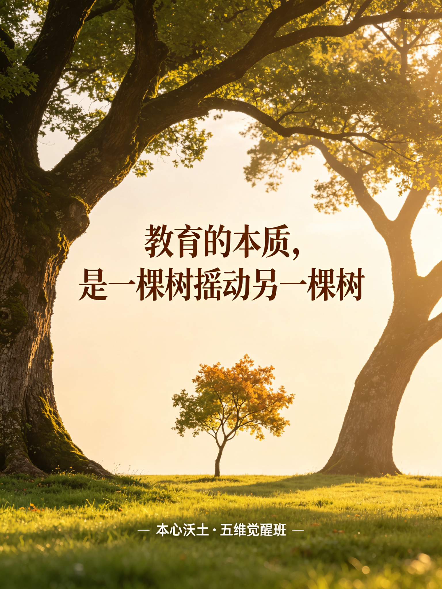 发心 · 教育的本质，是一棵树摇动另一棵树