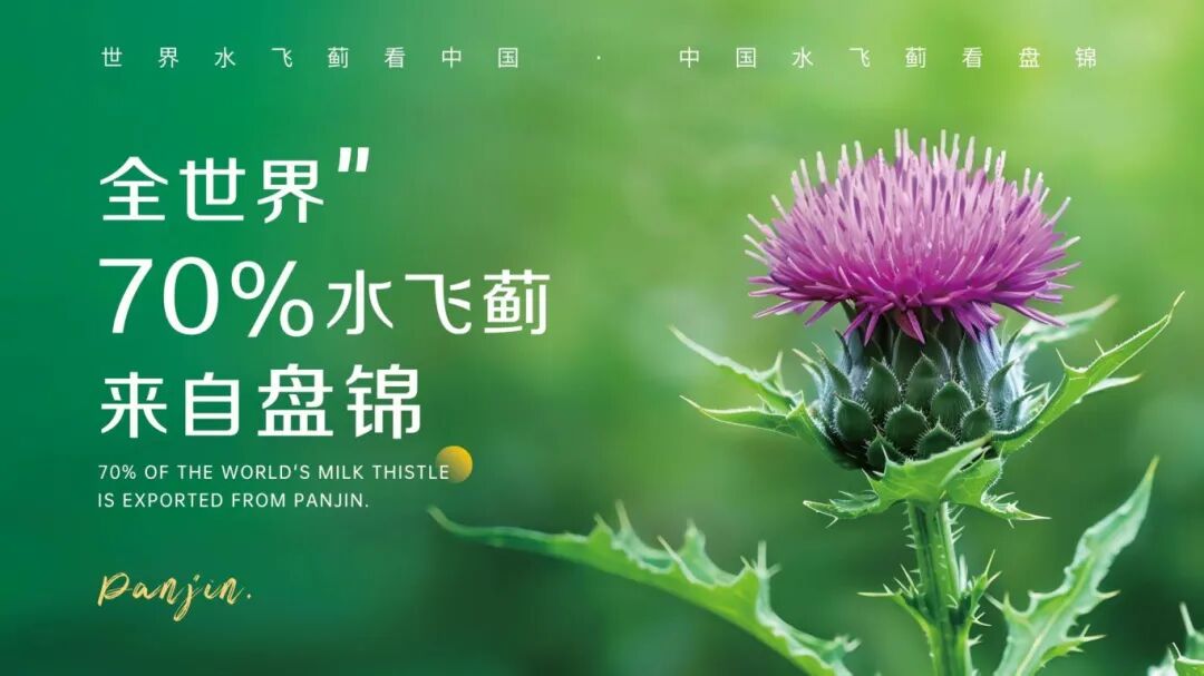 70%来自盘锦