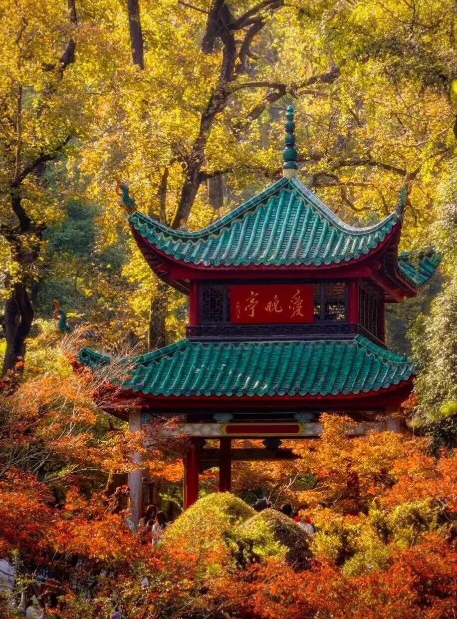 Shaoshan — Mao's hometown (1 day) — Changsha