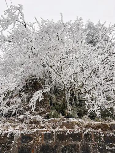 Leidongping Ski & Rime Day Trip