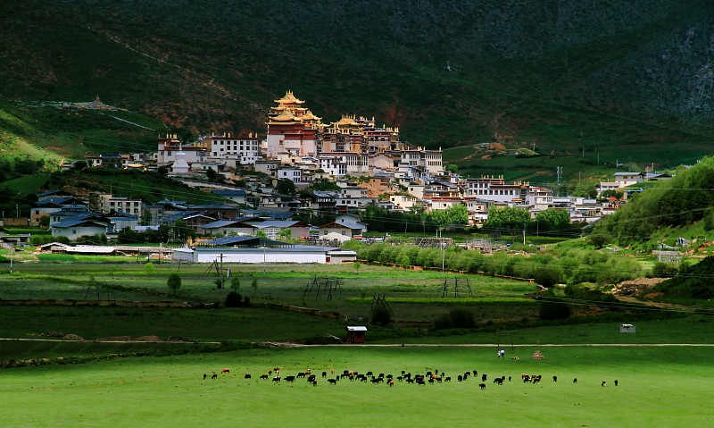 Dukezong & the prayer wheel