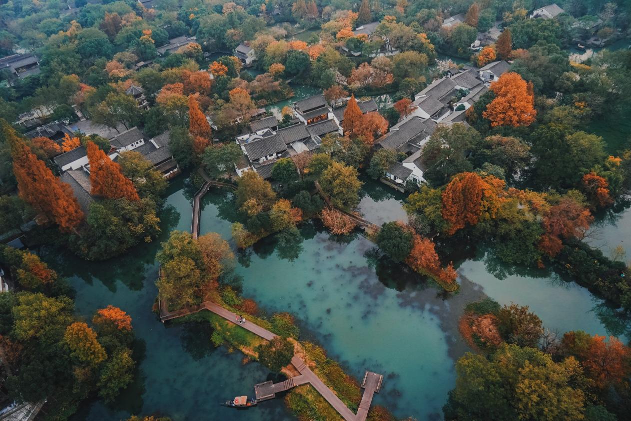 The autumn colours