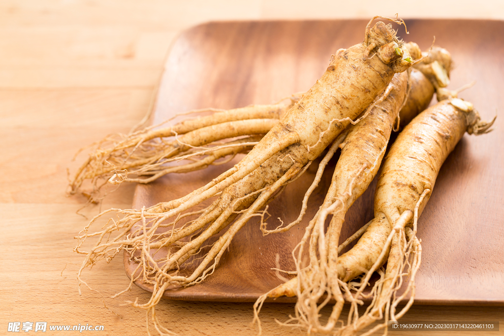Ginseng Root