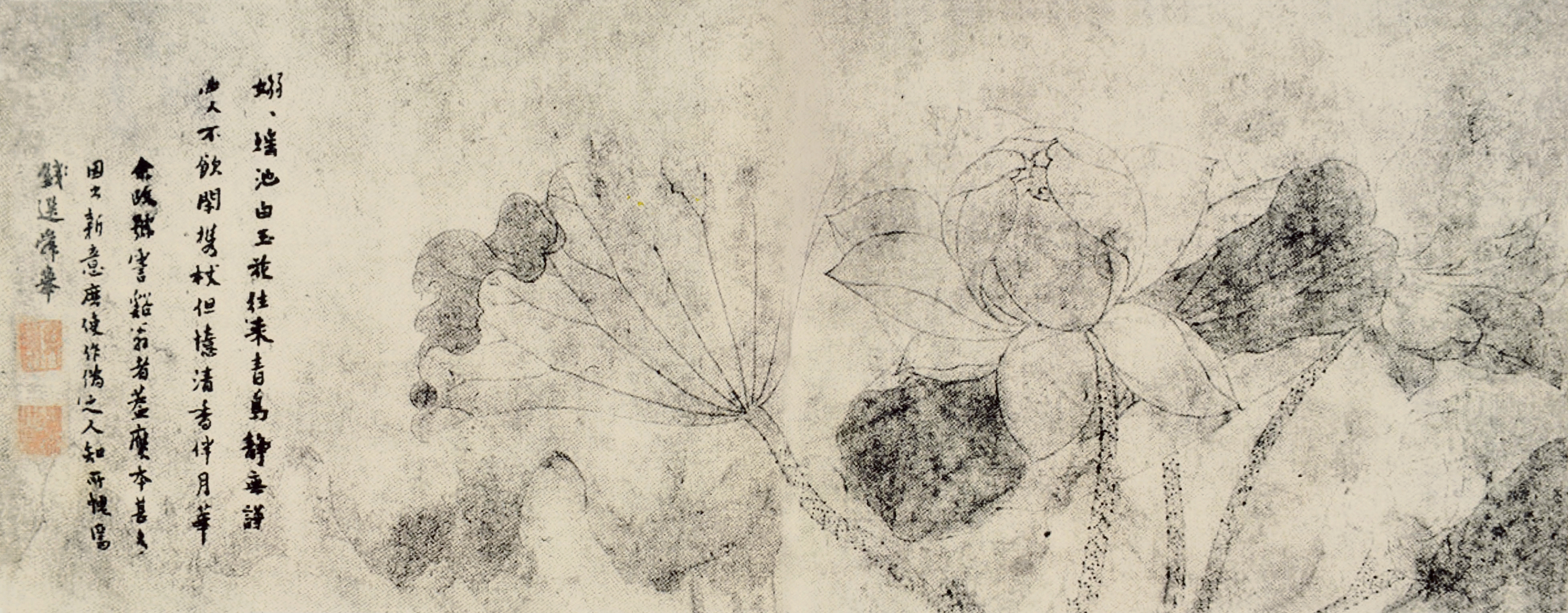 钱选《白莲图卷》