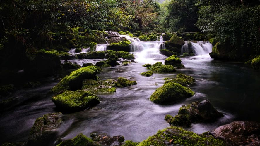 Karst forest with mossy rocks and streams in Maolan Nature Reserve, Libo
