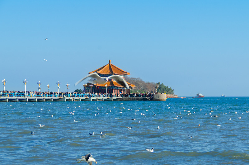 The old-town architecture walk (half day) — Qingdao