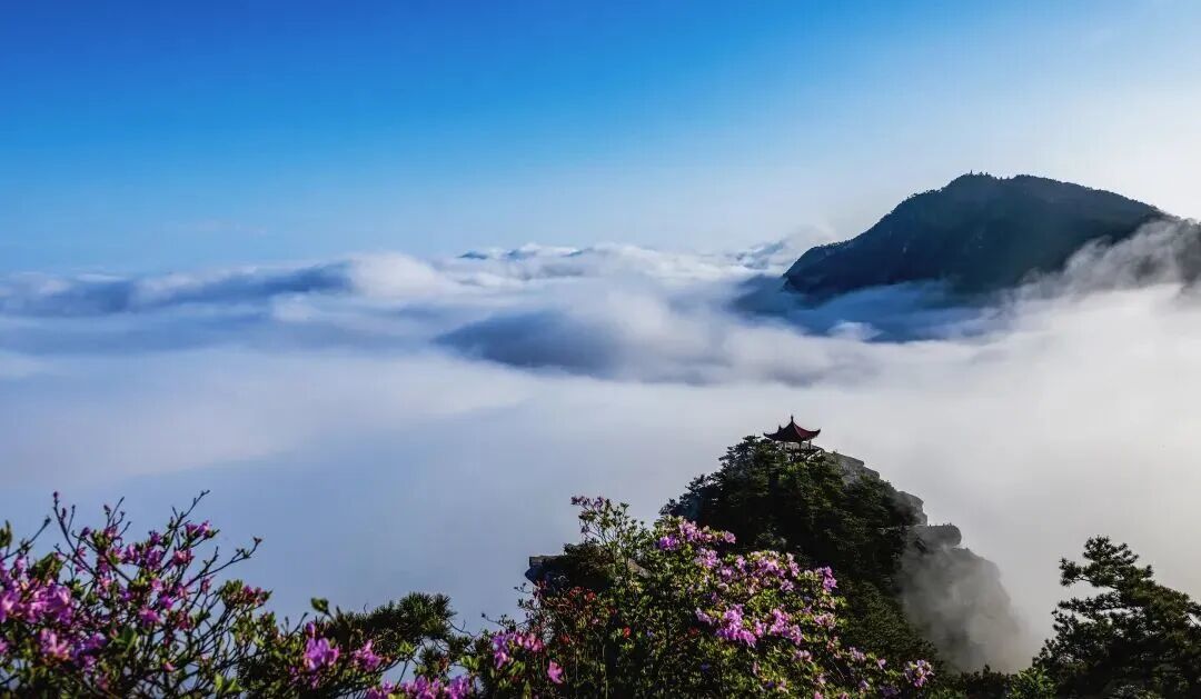 Cloud seas & mist