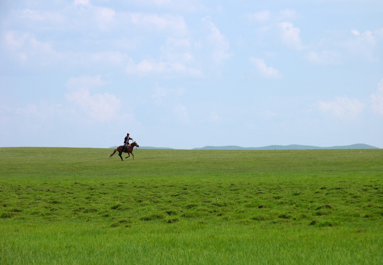 Hulunbuir grassland herds