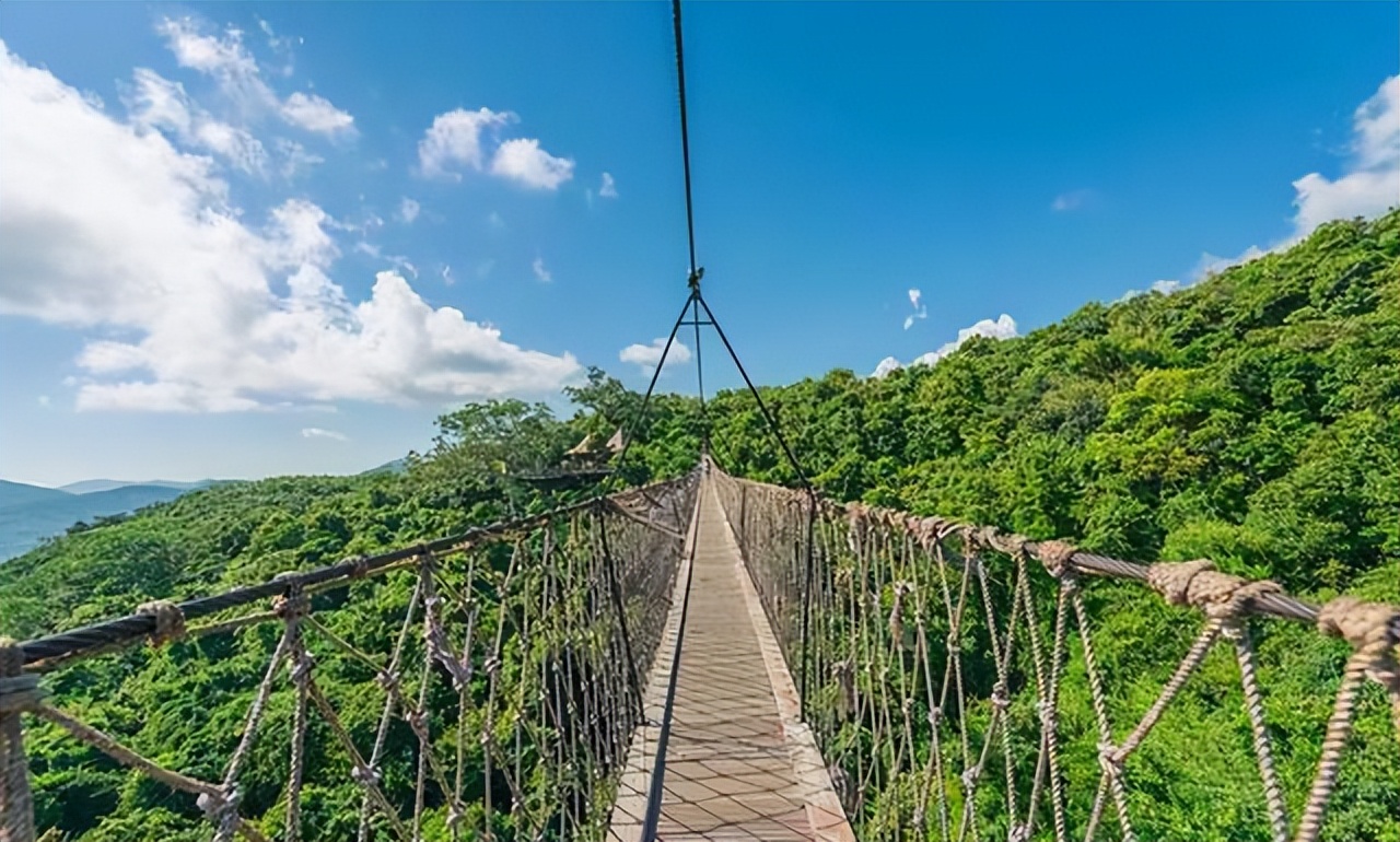 TheGuojianglong cable bridge suspended over the tropical forest