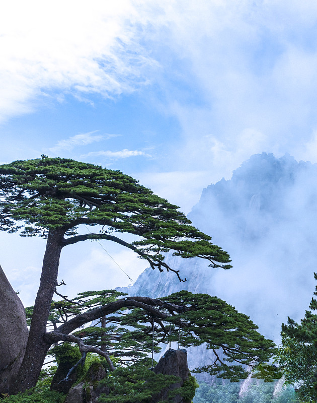 Jade Valley (Feicui Valley) (half day) — Huangshan