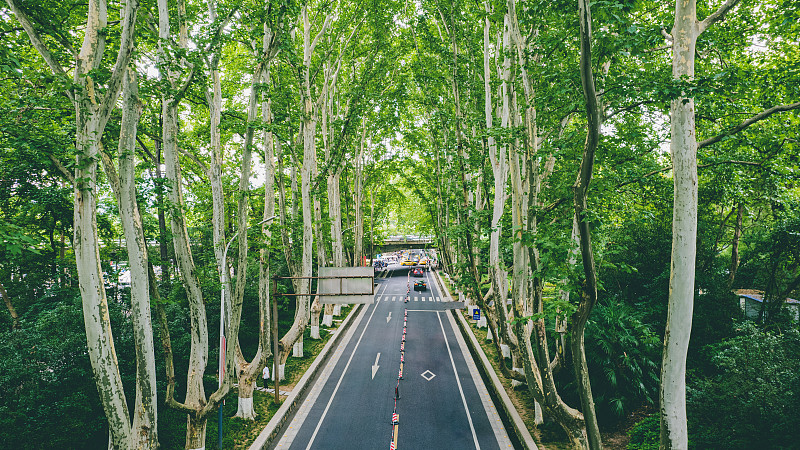 Nanjing attractions