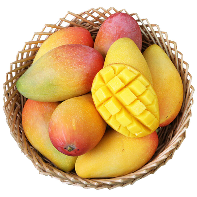 Mangoes and tropical fruit — Nanning's living specialty