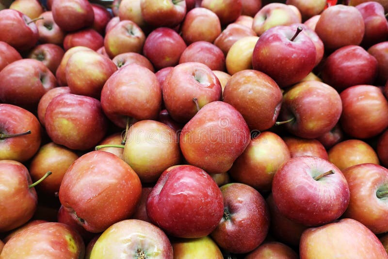 Fresh Red Apples