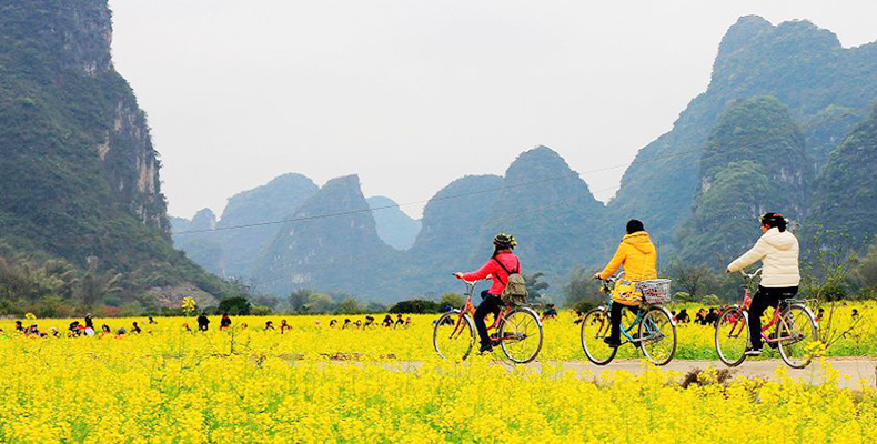 Cyclists among rapeseed fields on the Ten Li Gallery