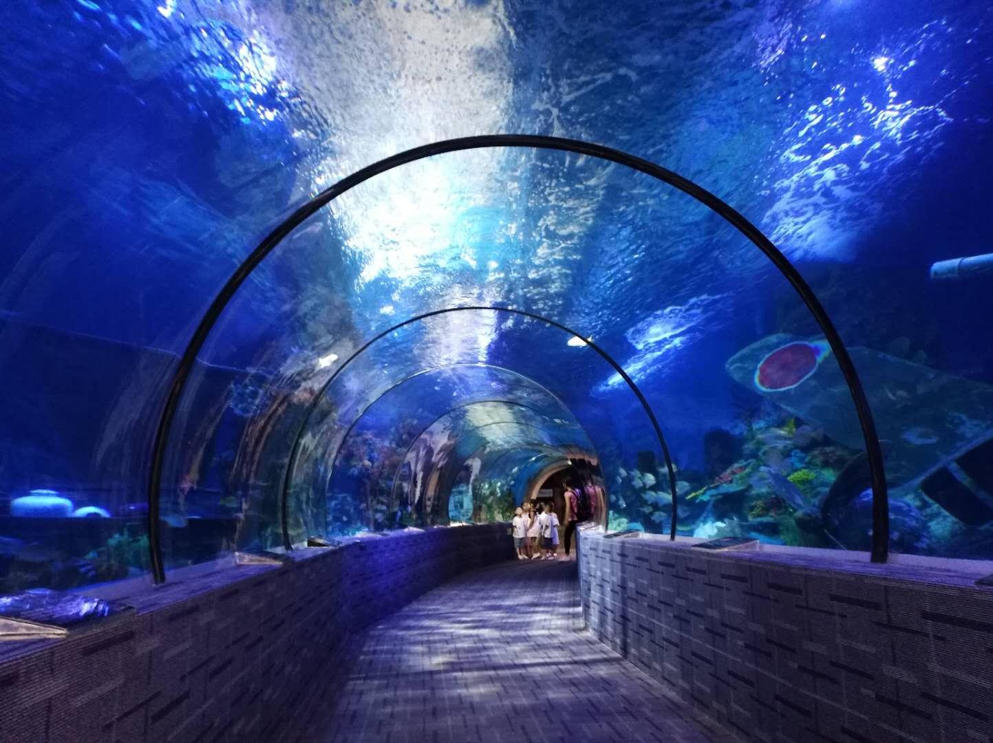 Beihai aquarium tickets