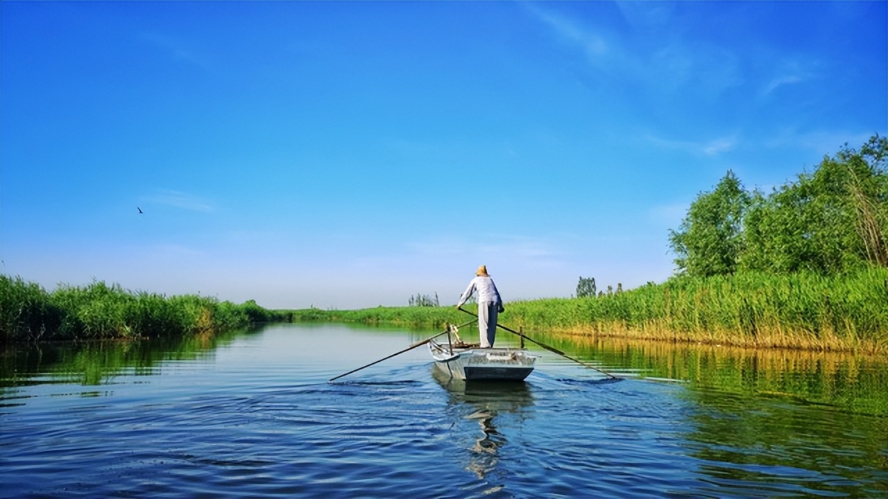 A wooden boat crossing the reed channels of Baiyangdian