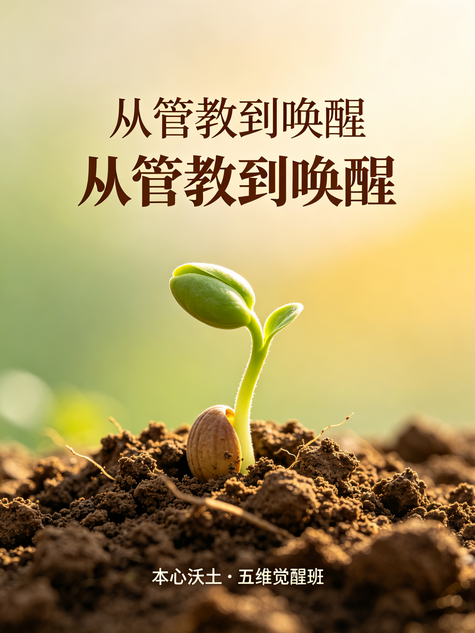 价值展示 · 从