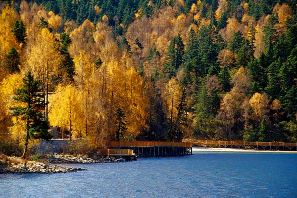 Mugecuo in autumn