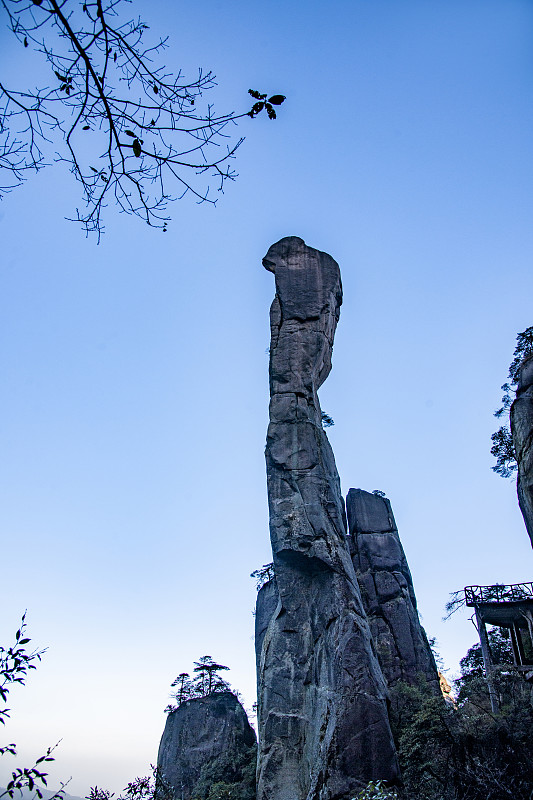 Goddess Peak