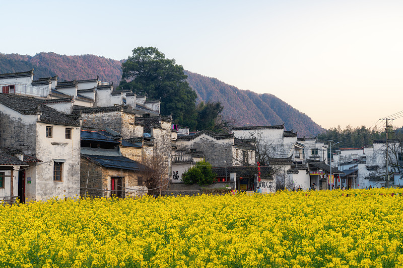 Village life