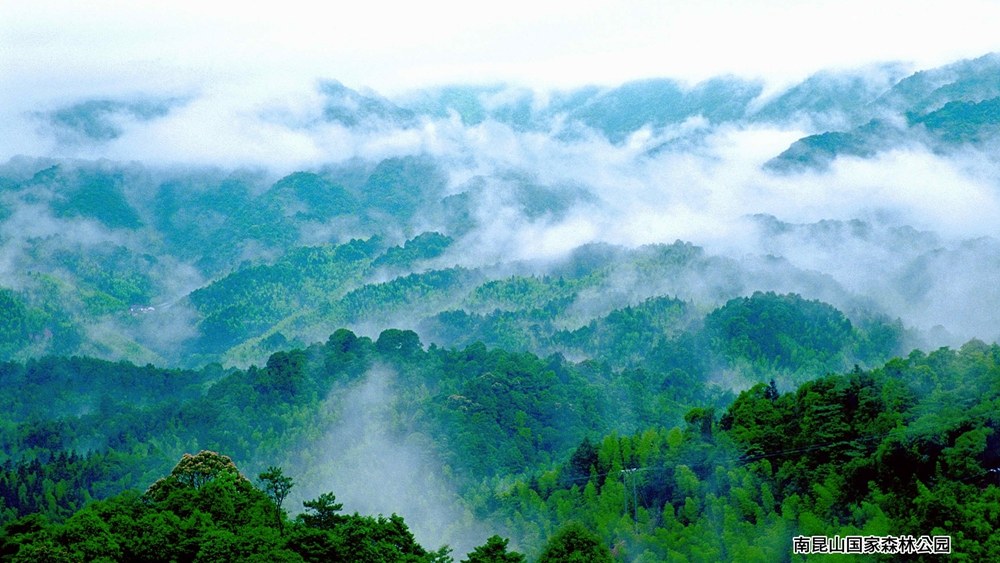 Misty green ridges of Nankunshan National Forest Park