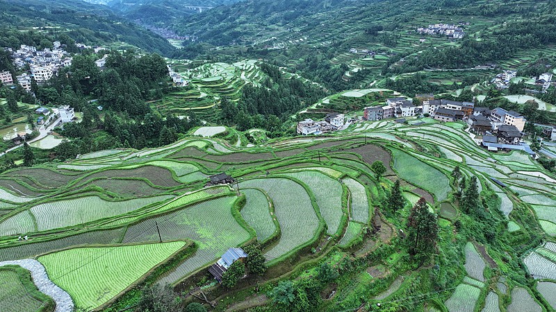 Tang'an Dong village above its terraced fields
