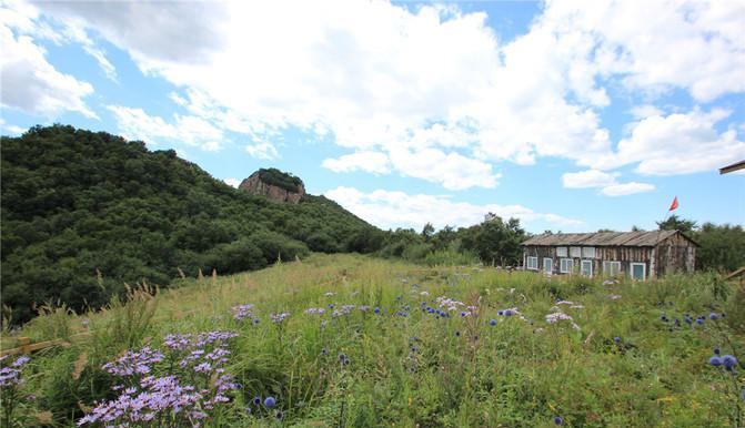 Baicaopan meadow — flowers and summer glacier