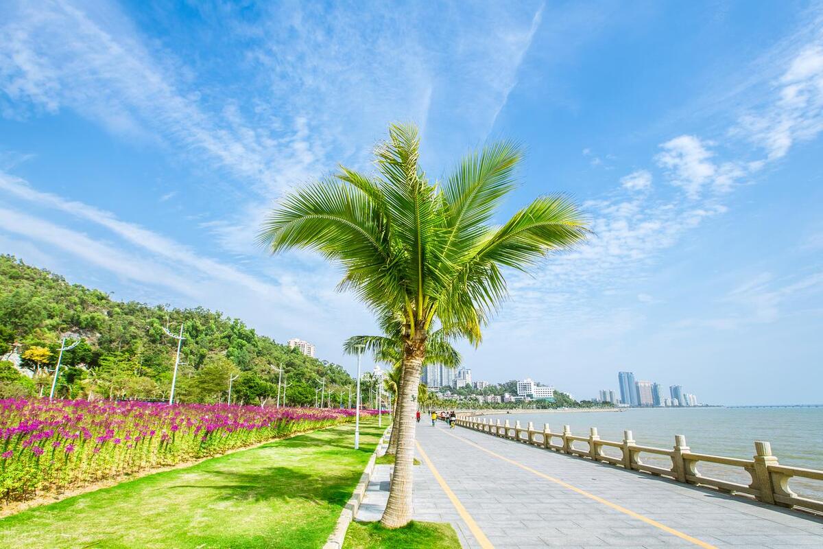 Palm-lined Lovers Road — the spine of the Zhuhai city-coast day trip