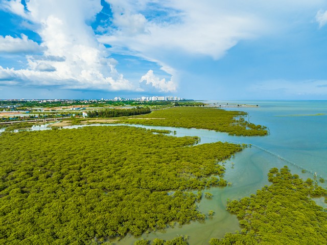 Travel agencies in Hainan on ToursChinaTravel